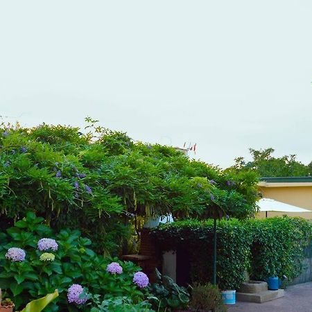 Villa A Tintureira São Martinho de Antas Esterno foto
