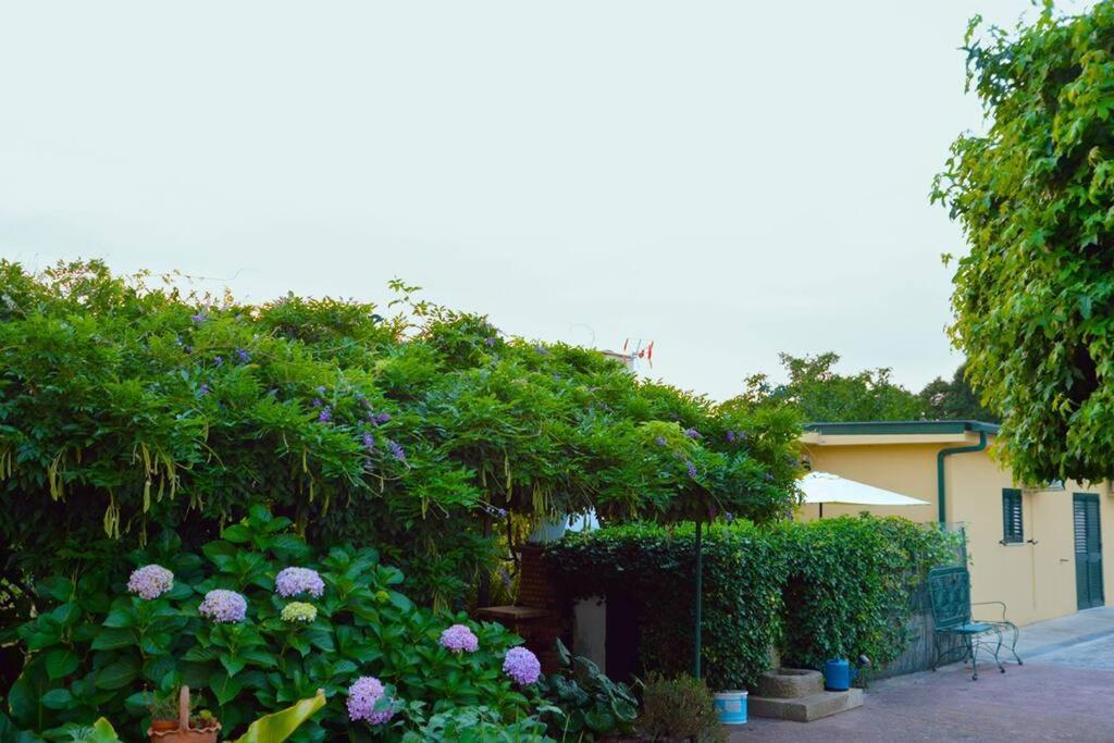 Villa A Tintureira São Martinho de Antas Esterno foto