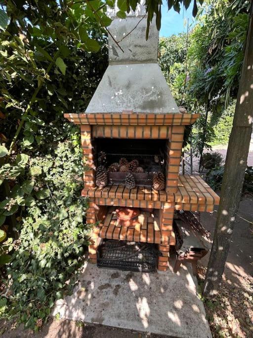 Villa A Tintureira São Martinho de Antas Esterno foto