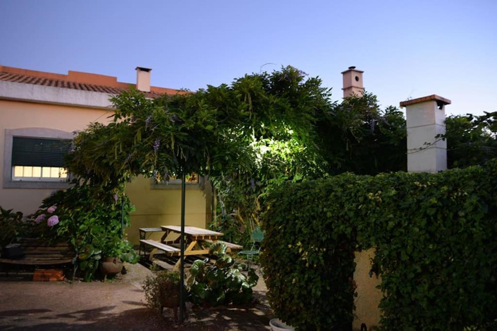 Villa A Tintureira São Martinho de Antas Esterno foto