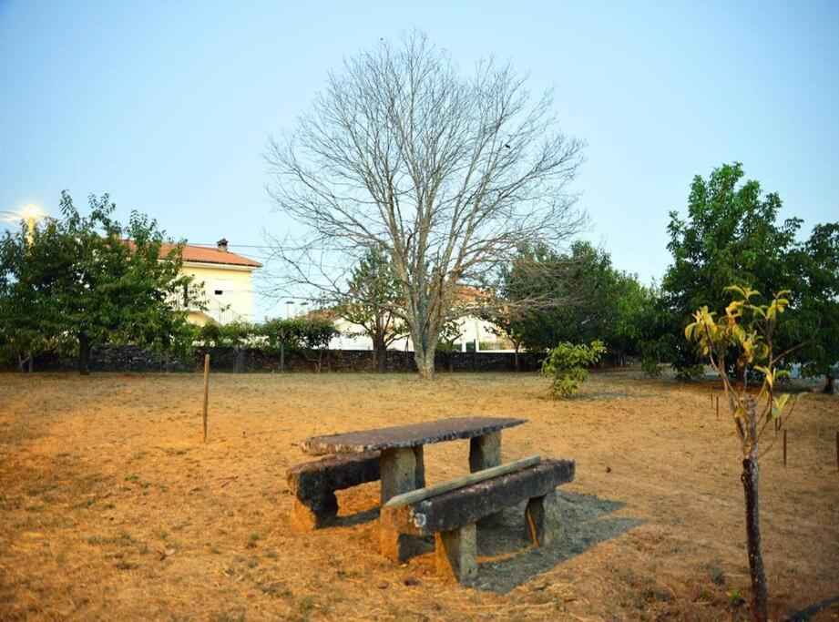 Villa A Tintureira São Martinho de Antas Esterno foto